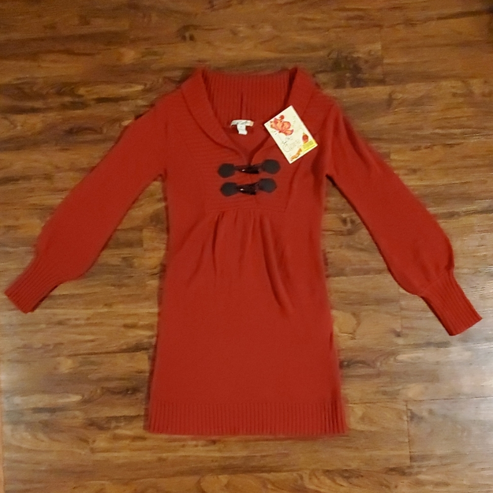 Sweater Dress